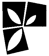 Wordpress AECasquilhos